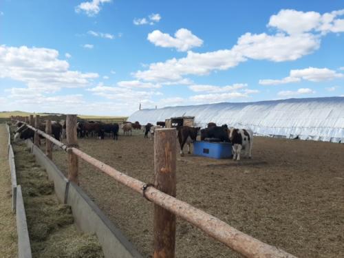 Посещение кооператива «Азат»-2020 / Besuch die Genossenschaft «Azat»-2020