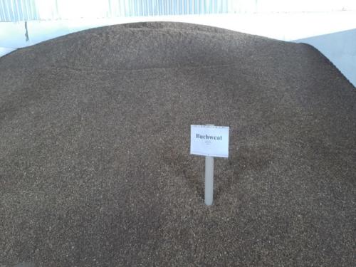 ТОО «Енбек» / Der Betrieb «Enbek»-2020