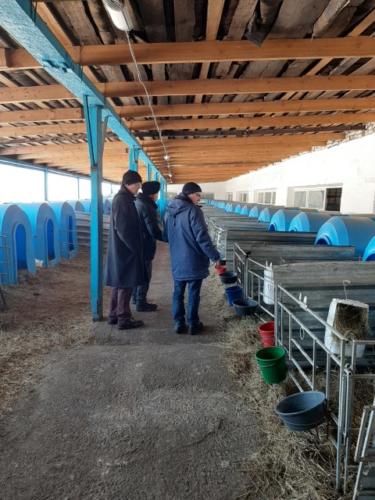 ТОО «Енбек» / Der Betrieb «Enbek»-2020